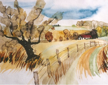Bergisch Land - Landschaft hinter dem Staudamm (Bever)