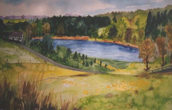 Bevertalsperre voll.(Teilansicht)