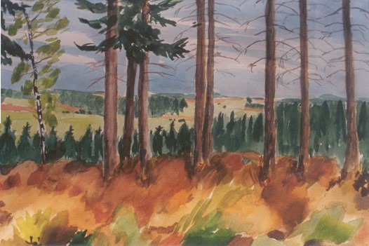 Bevertalsperre-Blick Richtung Radevormwald