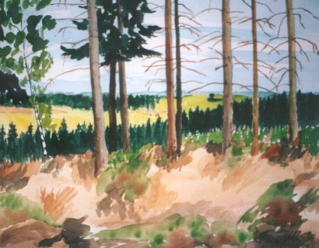 Bevertalsperre-Blick Richtung Radevormwald I