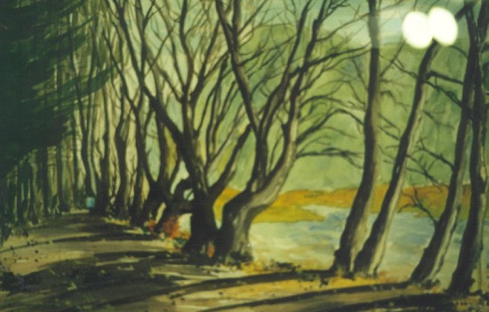 Hainbuchenweg an der Wupper