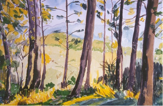 Wald bei der Bevertalsperre