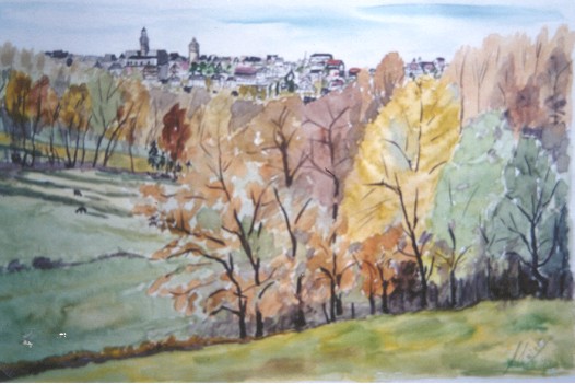 Hohen Hagen - Blick auf Remscheid