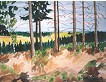 Bevertalsperre-Blick Richtung Radevormwald I