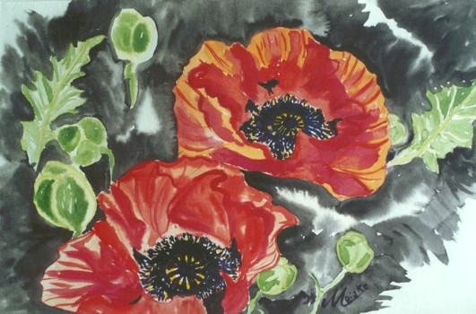 Roter Mohn