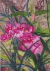 Blumen im Beet