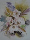 Blumen im Bild VIII