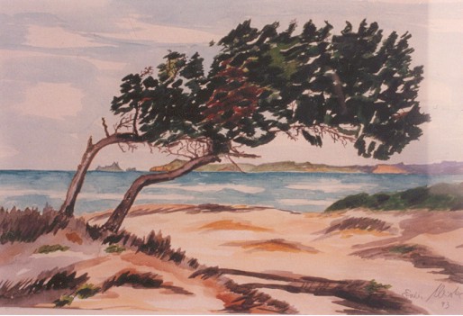 Blick auf Ibiza