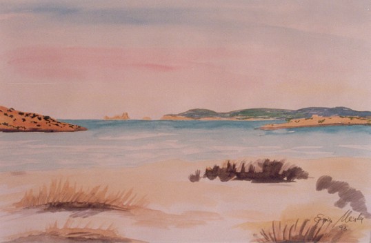 einsamer Nordstrand