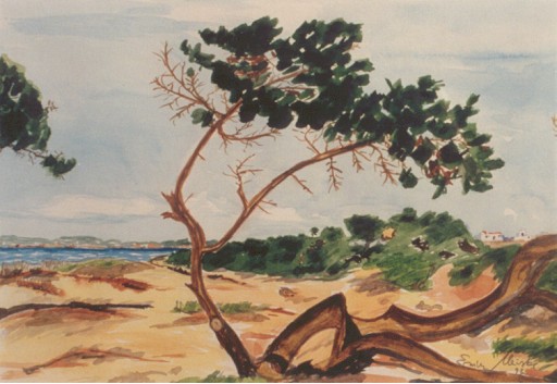 Strand