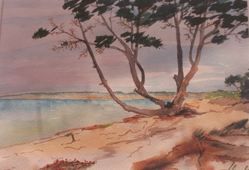 S�dk�ste Playa Mitjorn