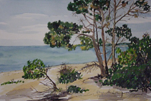 S�dk�ste/Strand