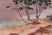 S�dk�ste Playa Mitjorn