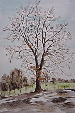 Buchenbaum/Grie�bach