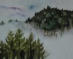 Eifel(Nebel)
