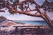 Am Strandimbiss Ende Oktober I (�l auf Leinwand)