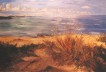 Strand bei Pujols
