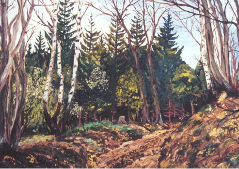 Waldweg 20m vor meinem Haus (Remscheid, N�delshalbach)