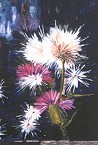 Distel