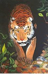 anschleichender Tiger