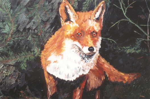 Fuchs im Unterholz