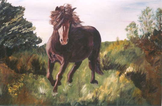Pferde auf der Weide II