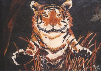Tiger im Sprung